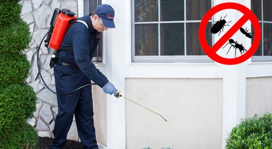 Yakakent Hamam Böceği İlaçlama böcek ilaçlama ve haşere kontrolü — ilaclama-tr.com